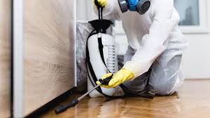 Best Real Estate Pest Inspections  in Woodmere, LA